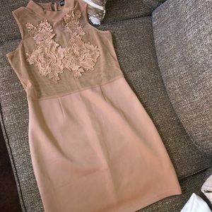 Nude Mesh Top Dress